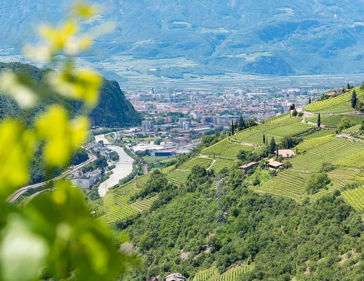 Weingut Schmid Oberrautner Apartment Suites Bozen Buitenkant foto